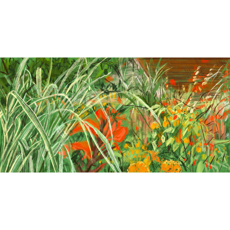 Front porch pots Great Dixter - digital drawing