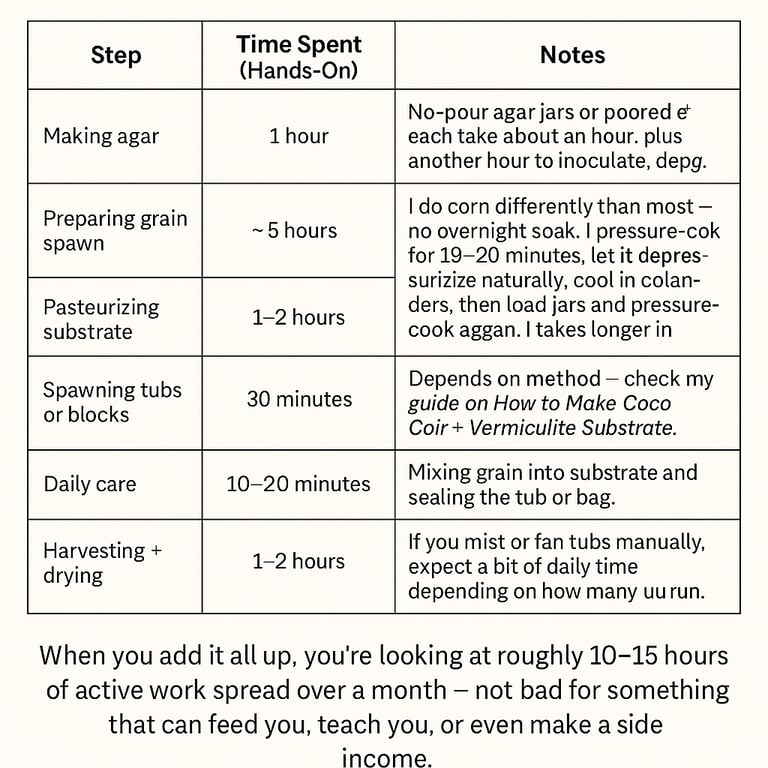 chart showing how long in hours it takes to grow mushrooms