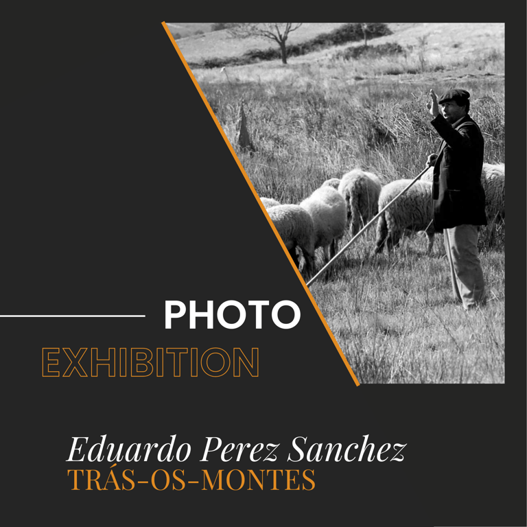 upper part of the poster about the photo exhibition