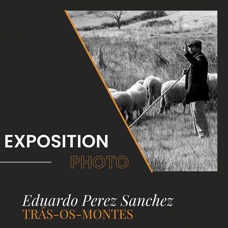 partie haute de l'affiche sur l'exposition de photos