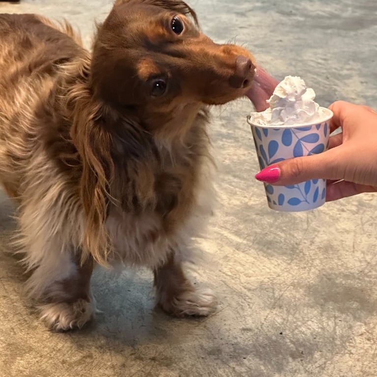 Our gourmet coffee and bakery selections are perfect for creating a memorable experience.