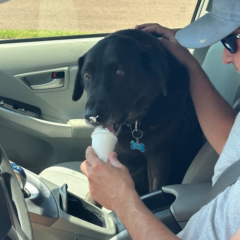  Enjoy our range of coffee and baked goods at your next event.