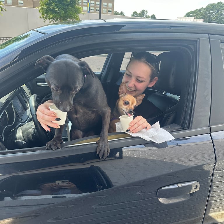 iscover the menu at Common Ground Coffee Bar & Bakery in Oxford, MS.