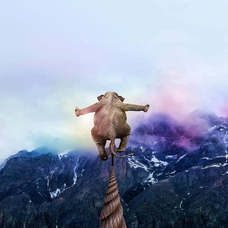 élephant équilibre
