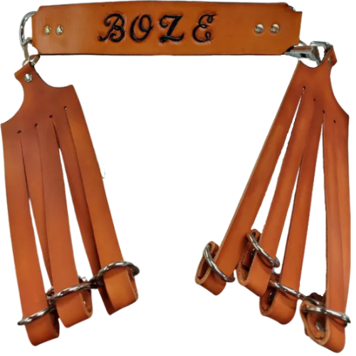 BOZE GAME CARRIERS