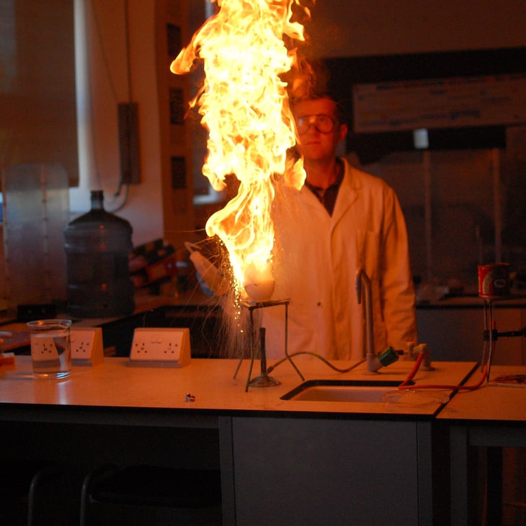 Torben Chemistry tutor