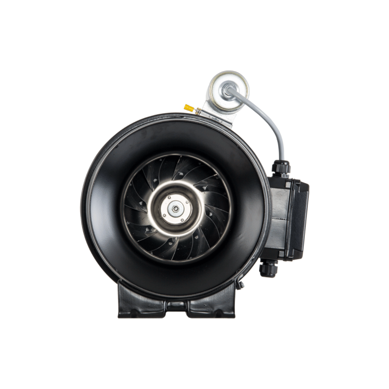 Batman Baca fan satışı