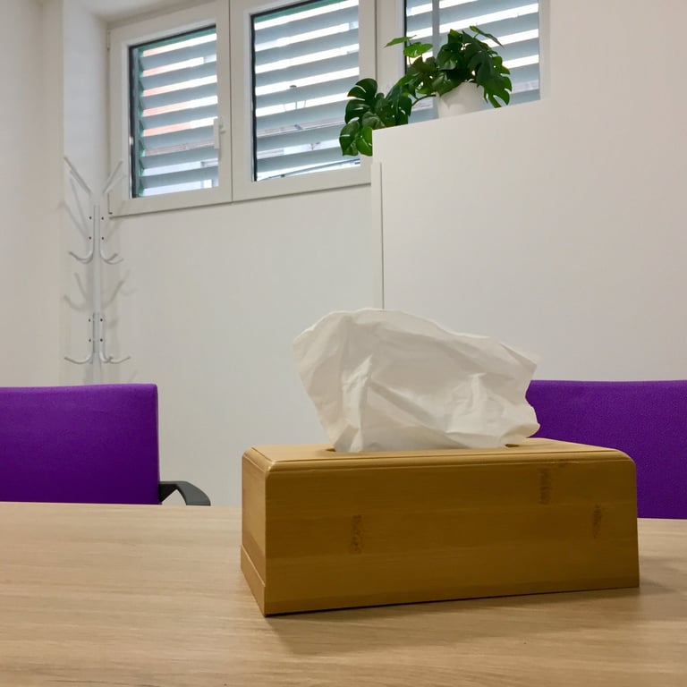Caja de pañuelos