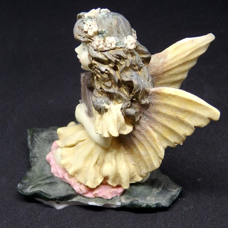 Fairy before conservation