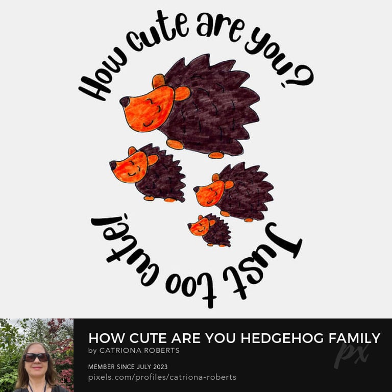 a woman in a black shirt and sunglasses with a hedgehog design