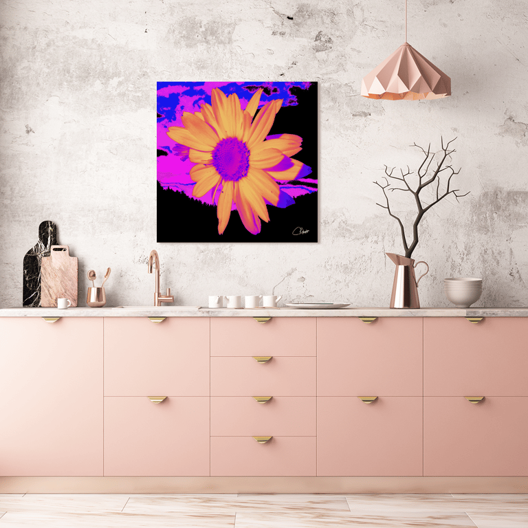 Coloured Daisy flower canvas hanging on a Kitchen Wall