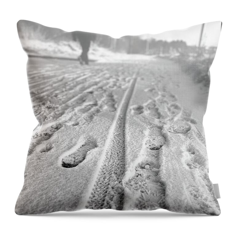 Image of a Throw Pillow.