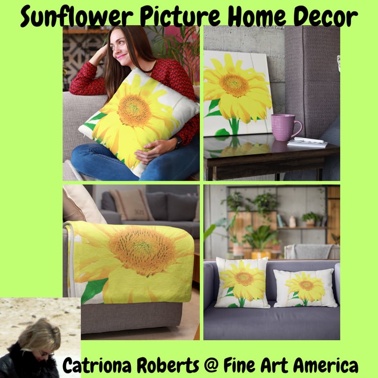 Digital images of a throw pillow, canvas print, fleece blanket & 2 throw pillows 