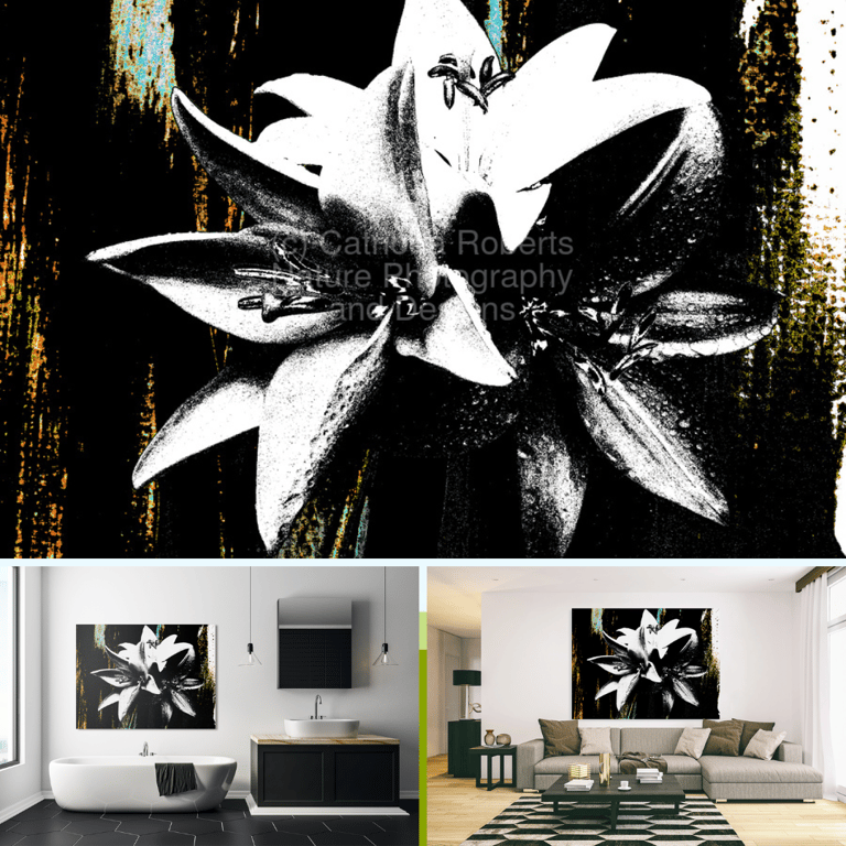 Digital image of 3 abstract monochrome lilies against a coloured abstract background  