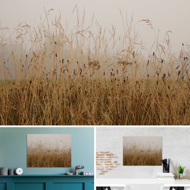 Digital image of long grass in the fog on a canvas print on a wall above a unit and desk