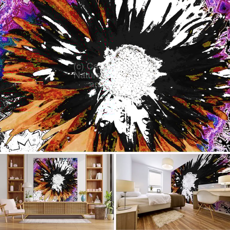Above abstract flower below left on a Canvas Print above a unit & right on a bedroom wall mural