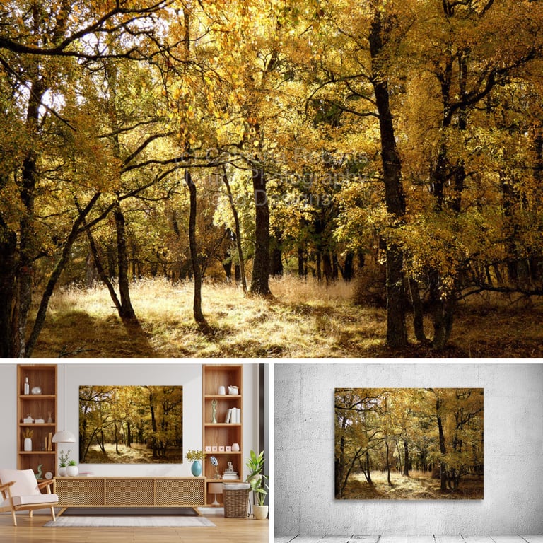 a living room with a chair and a forest photo on a Canvas Prints