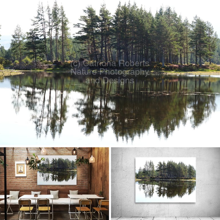 A photo of a lochan above and on prints on café wall and exhibition wall below