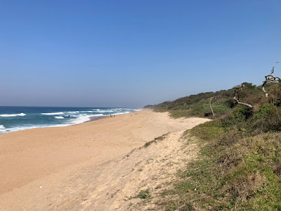 Sibaya coastal forest reserve near Umdloti holiday studio apartment