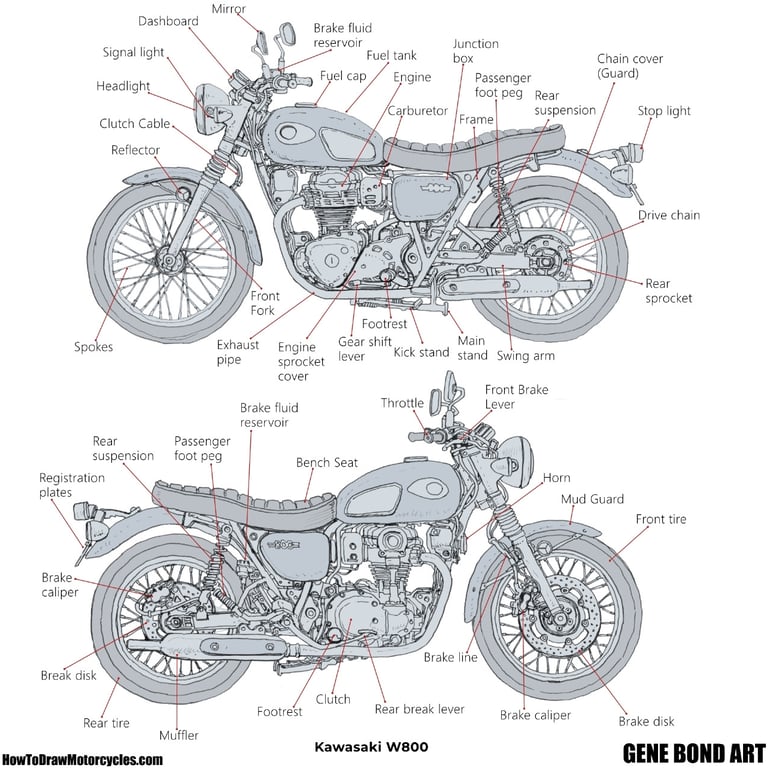 Kawasaki W800 drawing