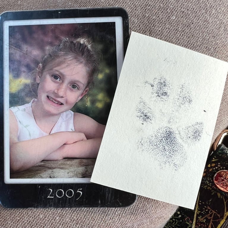 Zoe Falk Age 9 Forestville California