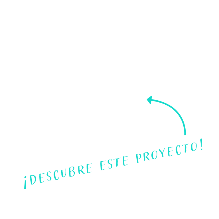 proyecto de branding