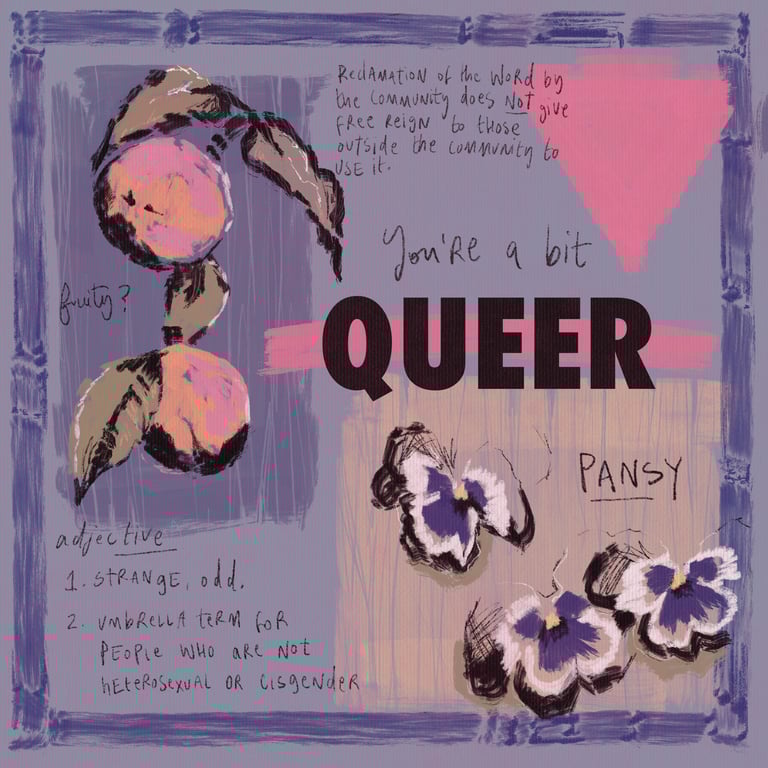An illustration of peaches and pansies and a pink triangle, text says, 'you're a bit queer, pansy, fruity'.