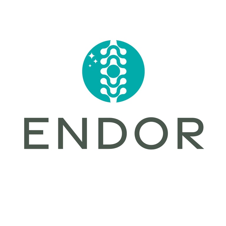 Seduta di fisioterapia personalizzata presso il Centro Endor di Milano