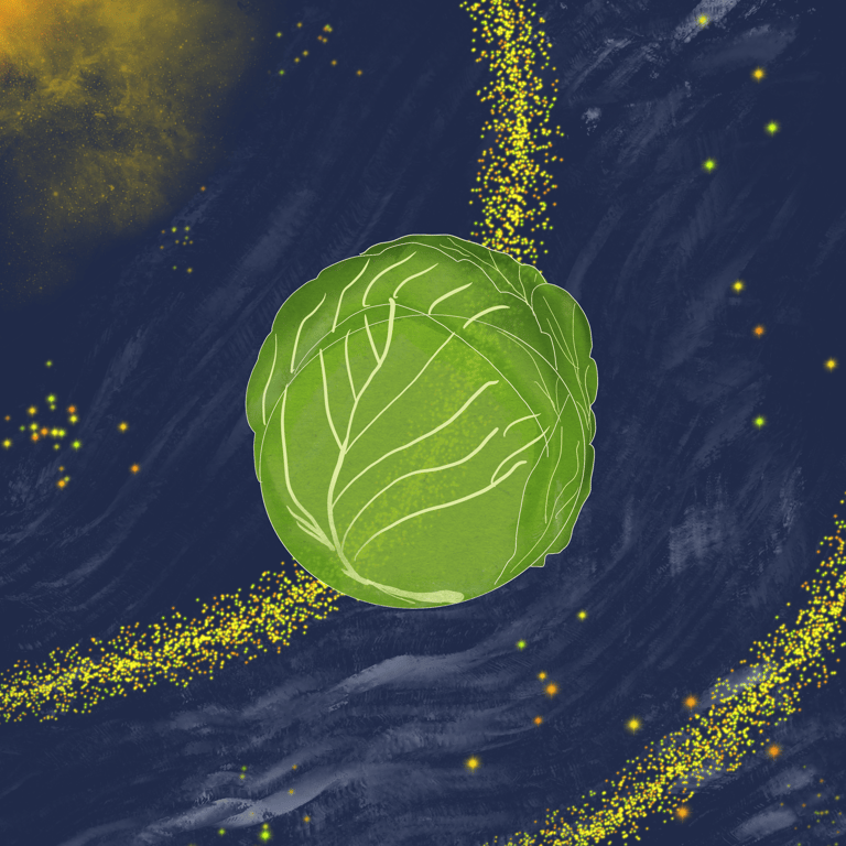 Planet of Lettuce, the home planet of the Vegebus