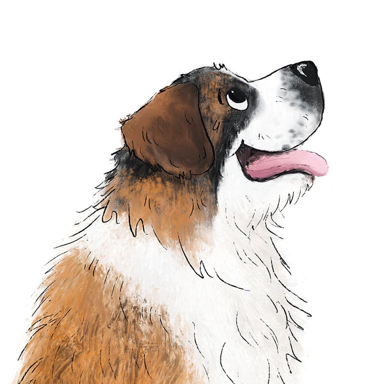 Illustration of a happy Saint Bernard dog looking up on a white background.