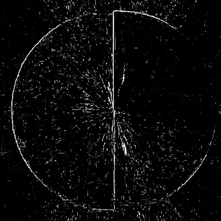 digital art, video installation,  joanna wlaszyn