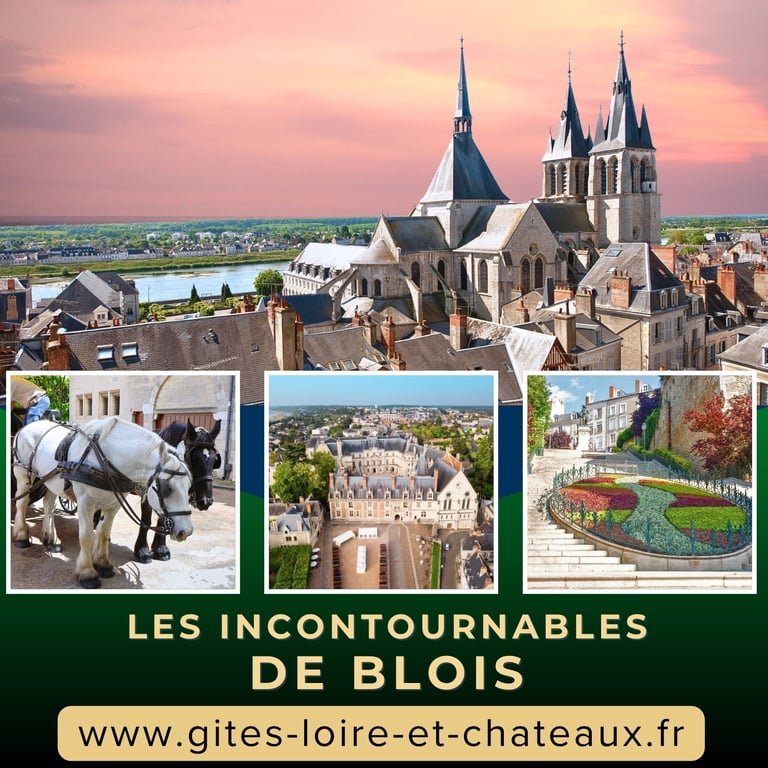 Les visites Incontournables à faire à Blois