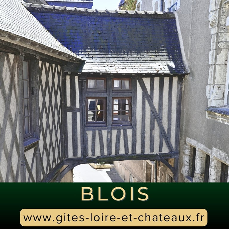 Visite le vieux Blois