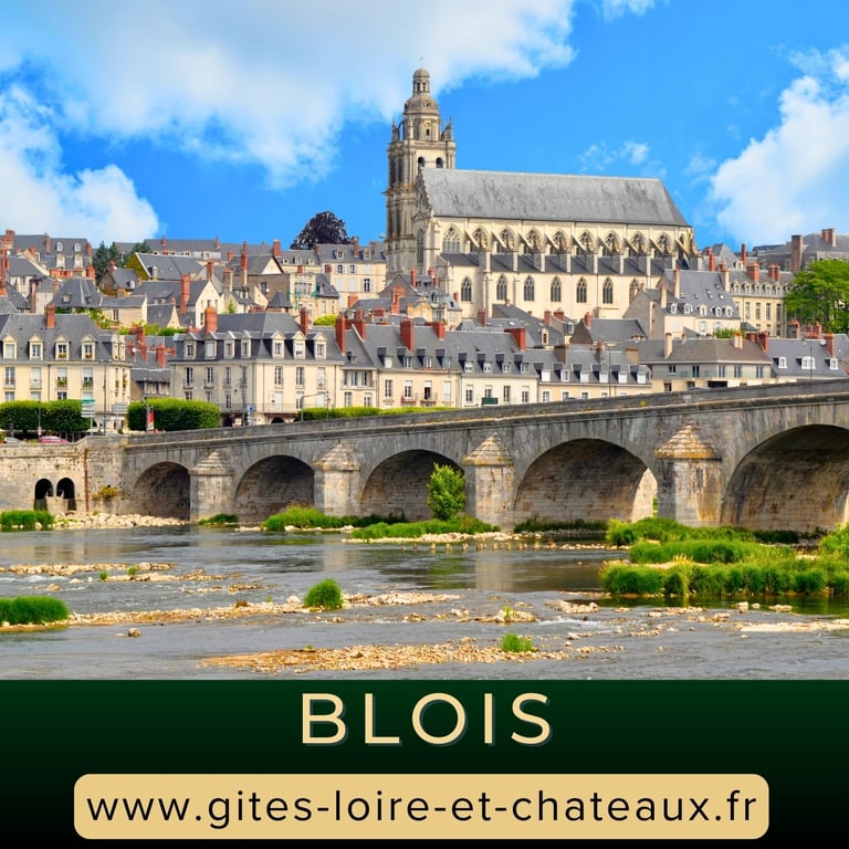 Visite cathédrale Saint-Louis à Blois