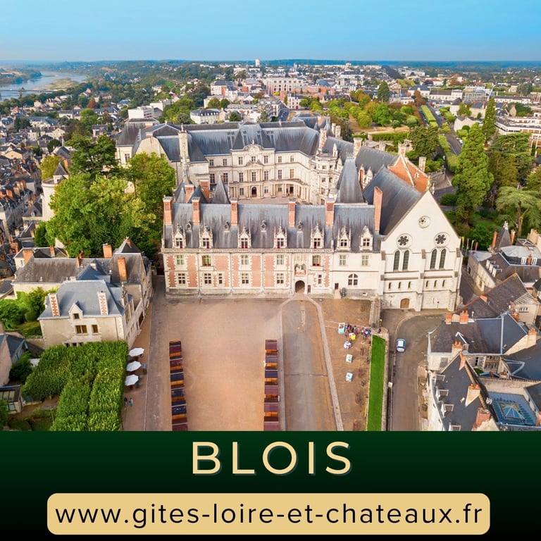 Visite Château Royal de Blois