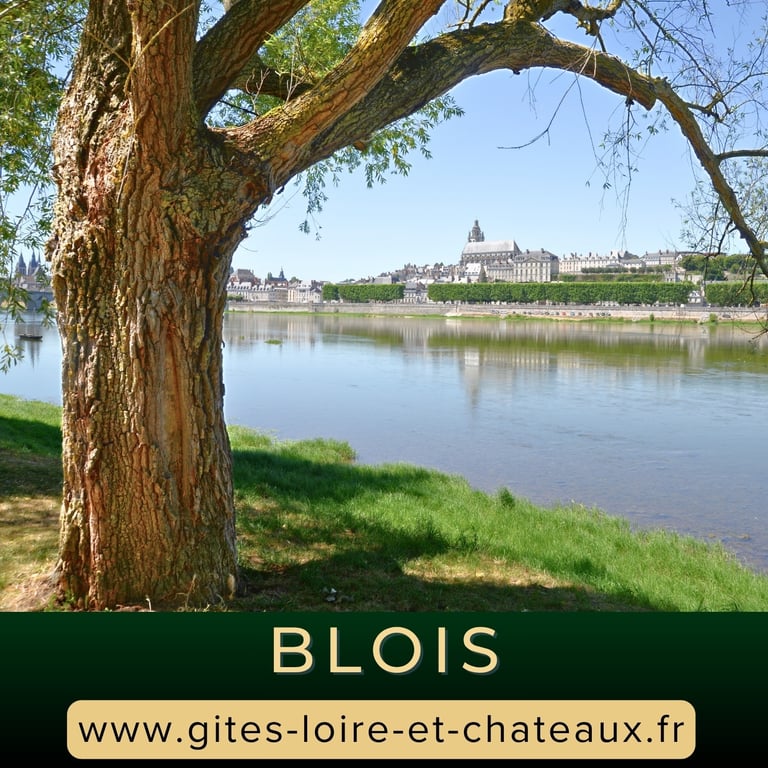 Blois les plus belles choses à faire