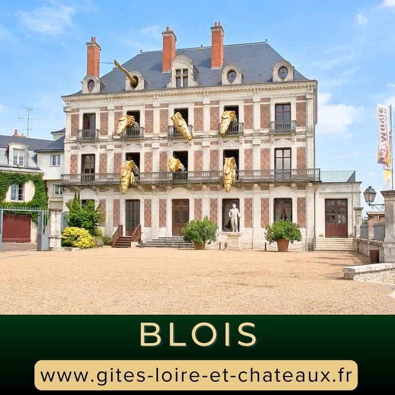 Visite maison de la magie à Blois