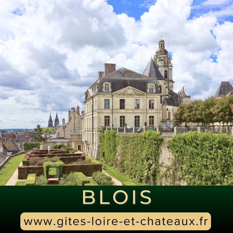 Visite les jardins de l'Evêché et la roseraie