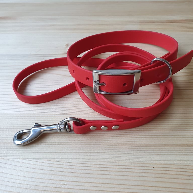 Waterproof dog collar and leash made of biothane material with stainless steel accessori