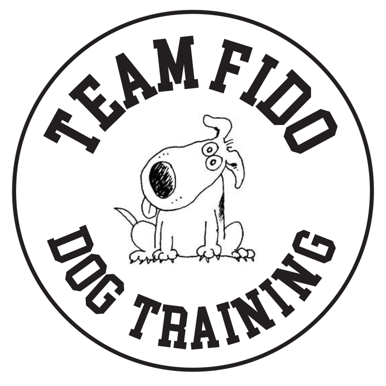 Team Fido logo