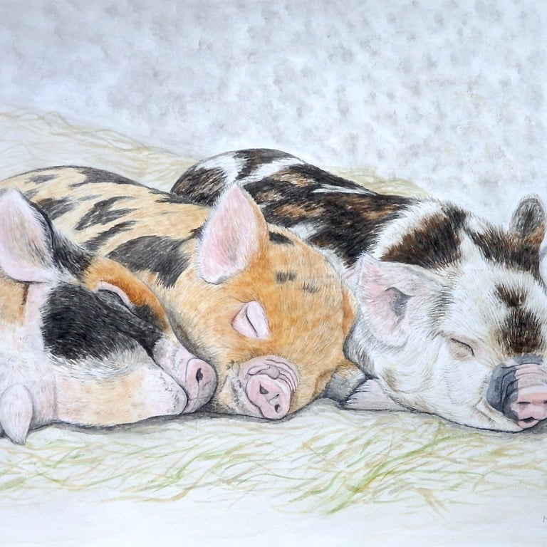Three Little Pigs by Mandy Garratt