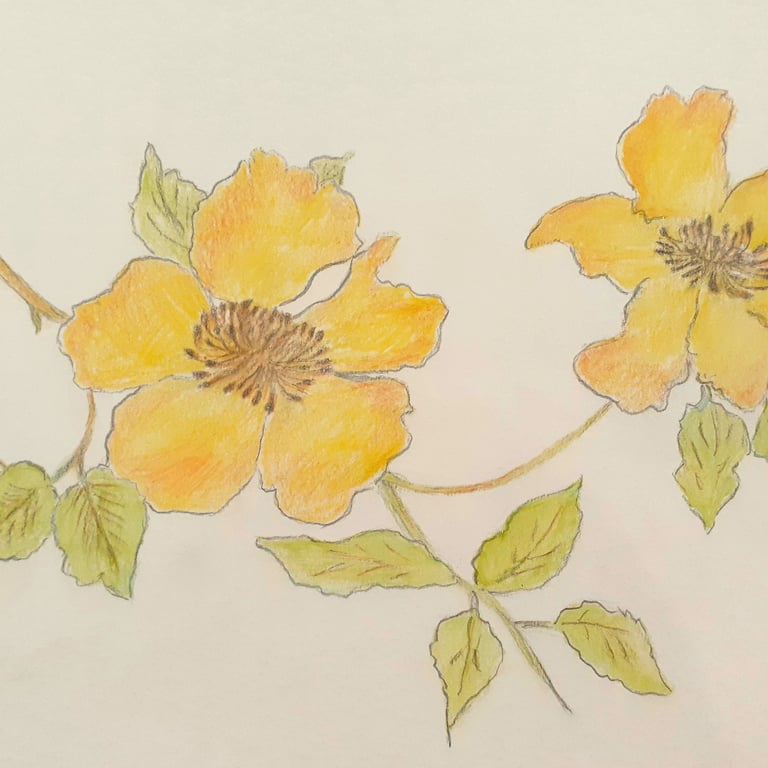 Mellow Yellow by Margaret White