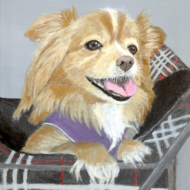 Ruby, acrylic on canvas by Mandy Garratt