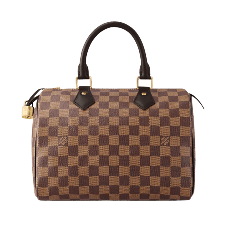 LV Speedy 25 Damier Ebene Women Handbag