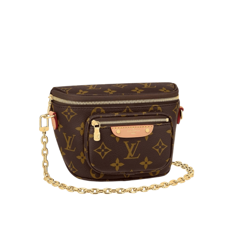 Louis Vuitton Bumbag