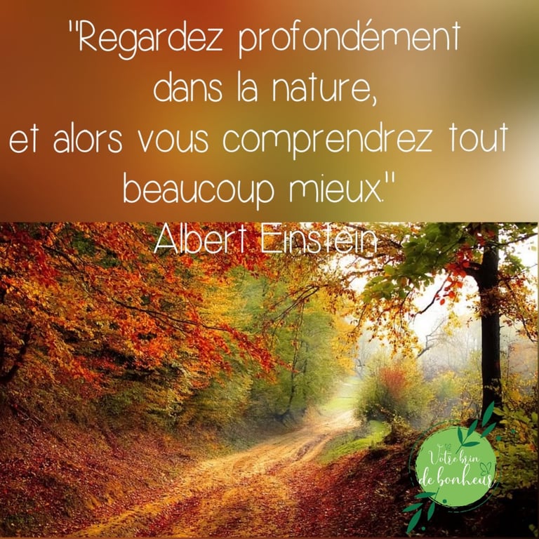 a road with a quote about nature