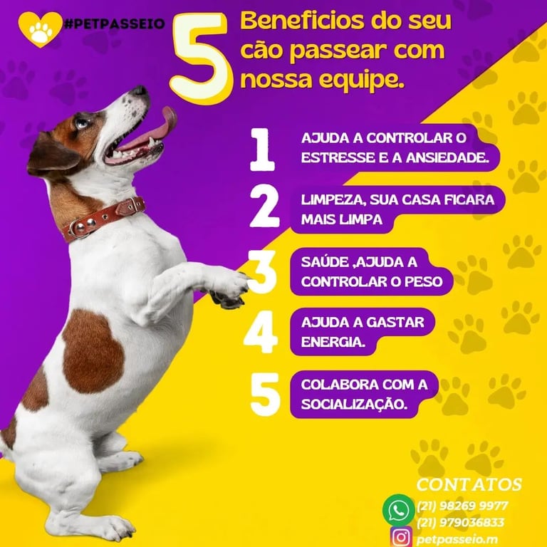 a dog standing on a purple background with a dog and a yellow dog