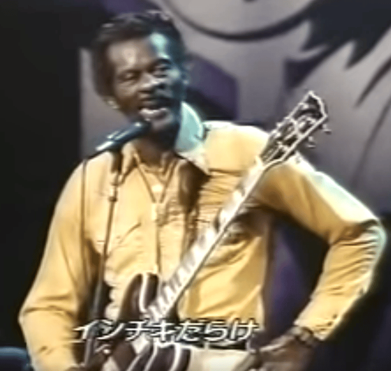 Chuck Berry - Too Much Monkey Business (1957)