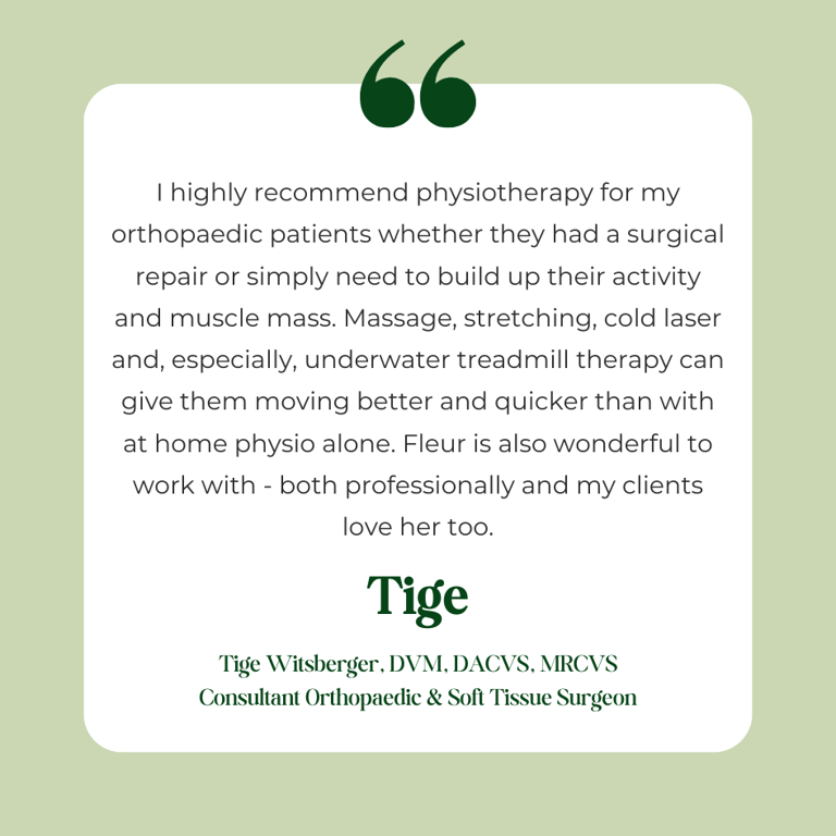 A testimonial from a specialist orthopaedic surgeon and previous colleague.