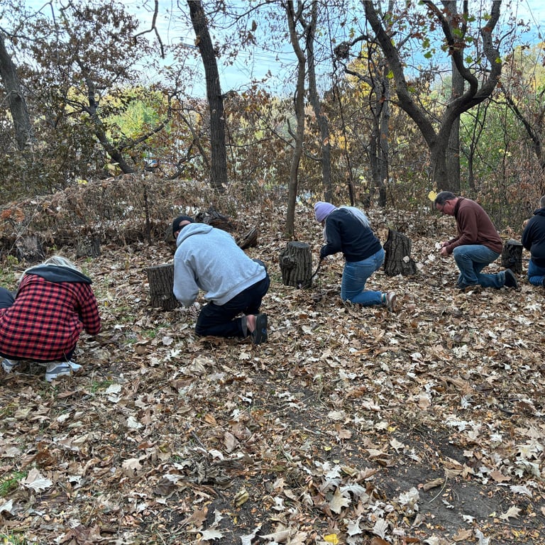 Participants in action untying bears